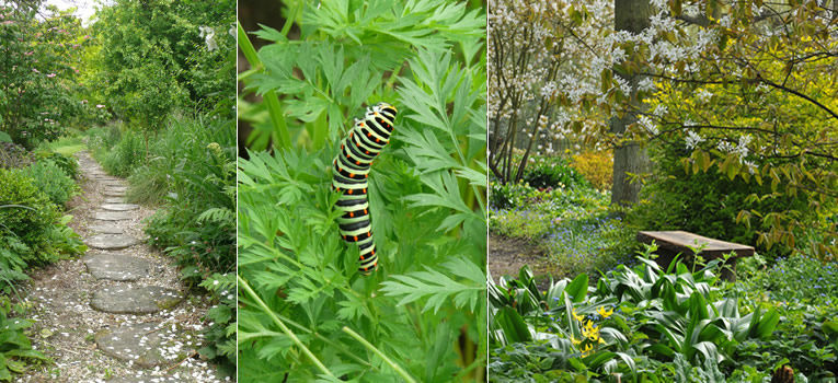 Ecologisch tuinieren, hoe begin je eraan